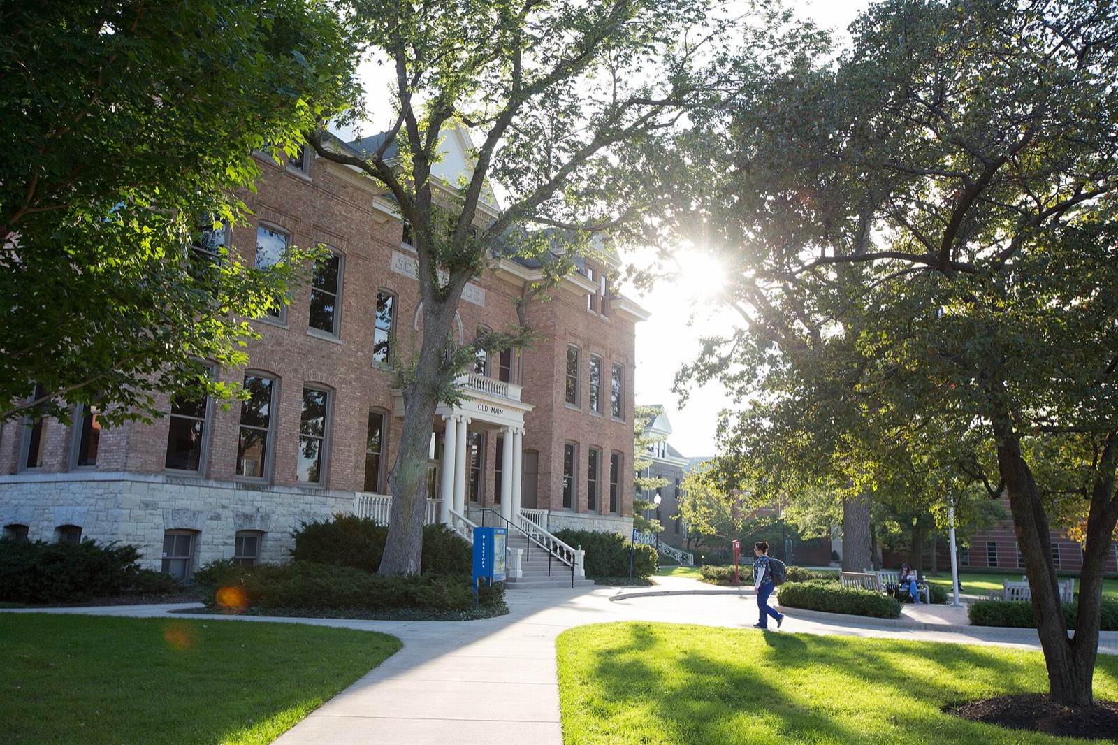 Sunlight through trees on a brick college quad
